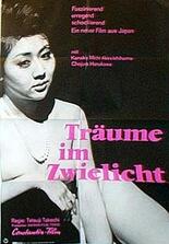 Träume im Zwielicht